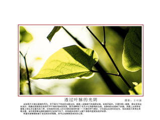 <a href='/2019/0627/c15344a182784/page.htm' target='_blank' title='王可新-摄影展'>王可新-摄影展</a>