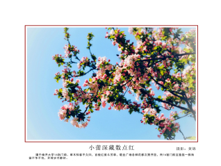 <a href='/2019/0627/c15344a182808/page.htm' target='_blank' title='黄锦-摄影展'>黄锦-摄影展</a>